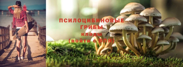спиды Балахна
