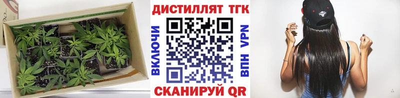 ТГК вейп Буинск